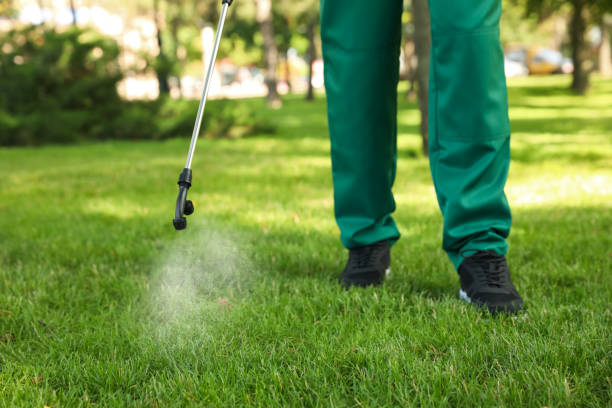 Best Wasp Removal Services  in Mead Valley, CA